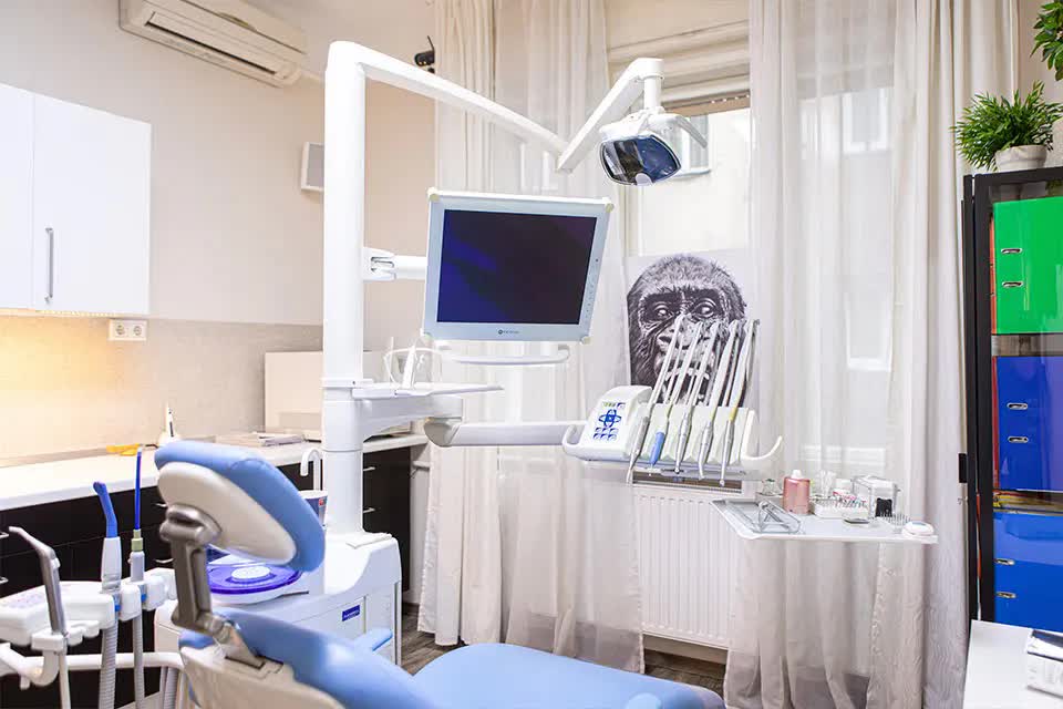 Dr. Breiter Mónika | Fogszakorvos