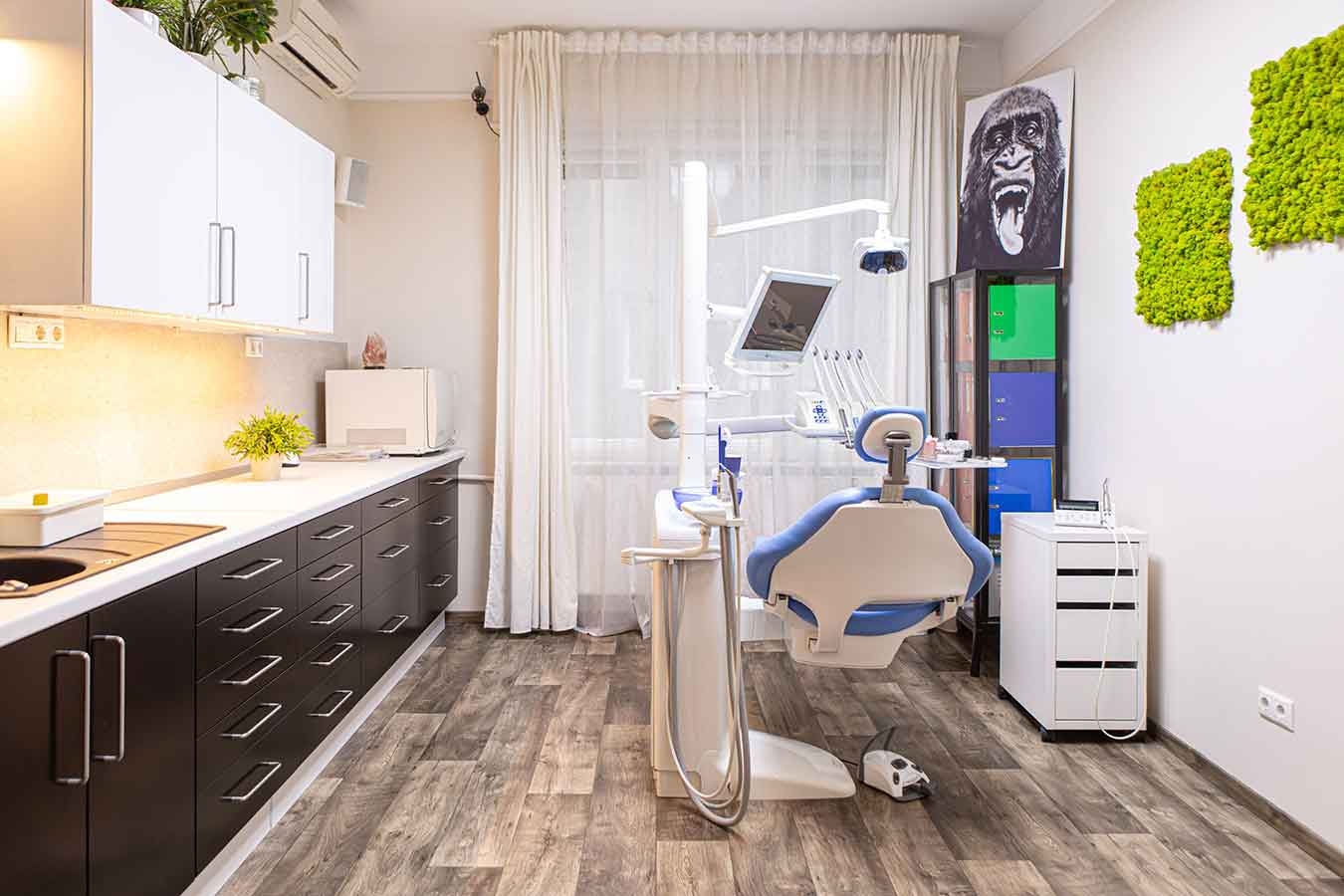 Dr. Breiter Mónika | Fogszakorvos