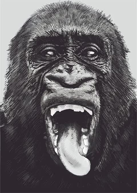 Dr. Breiter Mónika | Fogszakorvos